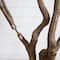 8ft. Artificial Grand Fiddle Leaf Tree in White Decorative Planter